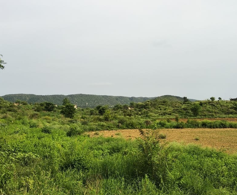 Commercial Plot for Sale on Ajmer Road Jaipur – 300 Sq Yard Highway Facing Land