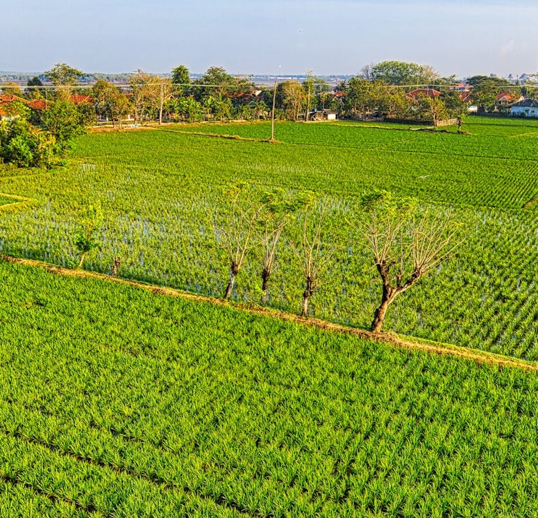 Farmhouse Land for Sale in Ajmer Road Jaipur – 1 Bigha Gated Plot Near Ring Road