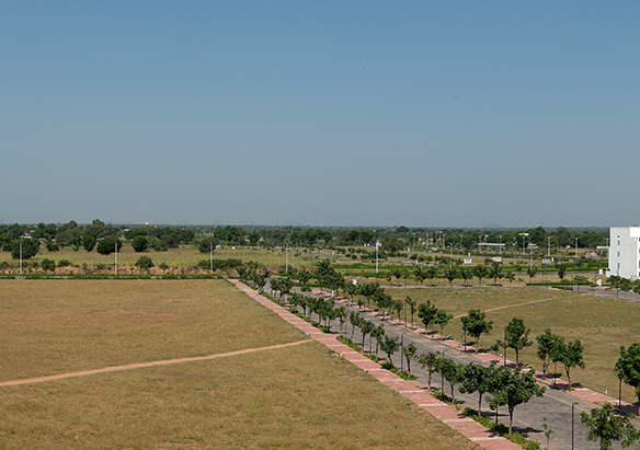 Buy 166 Sqyrd Plot for Sale in Goner Jaipur @ 53.4 Lac